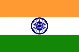 Virtual CFO services in Indian